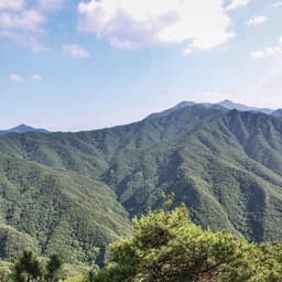 김종우의 프로필 이미지