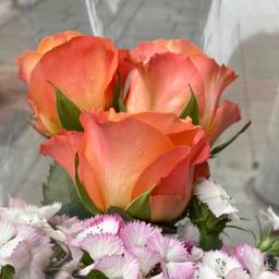 사용자 프로필 1