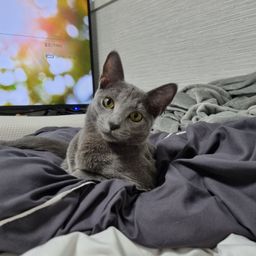 사용자 프로필 1