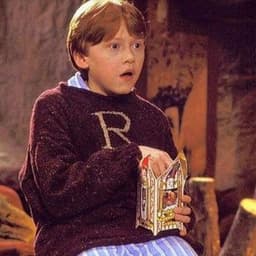 박혜리의 프로필 이미지