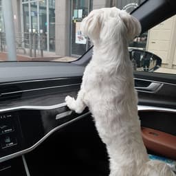 성진우의 프로필 이미지