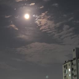 김상구의 프로필 이미지