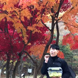 무지개의 프로필 이미지