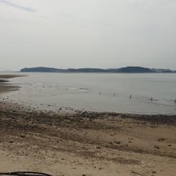 김경욱의 프로필 이미지