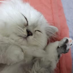 구성주의 프로필 이미지
