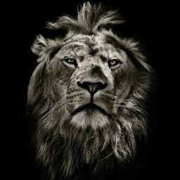 사용자 프로필 1