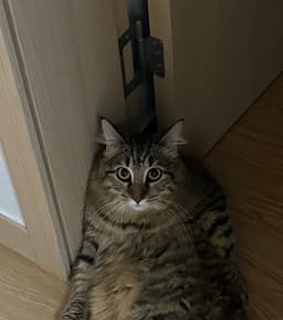 박지원의 프로필 이미지