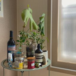 사용자 프로필 1