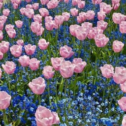 김민정의 프로필 이미지