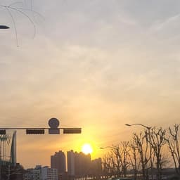 유은영의 프로필 이미지
