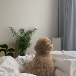 엄지원의 프로필 이미지