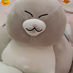 김치겸의 프로필 이미지