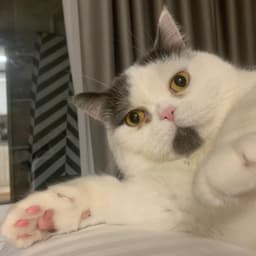 임현지의 프로필 이미지