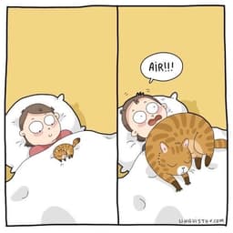 kimgorang의 프로필 이미지