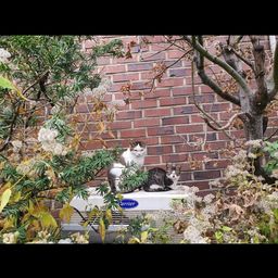 준준의 프로필 이미지