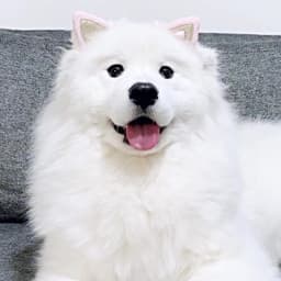 성훈이의 프로필 이미지