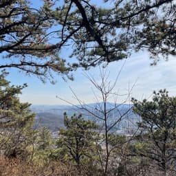 김진선의 프로필 이미지