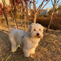 사용자 프로필 1