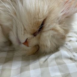 사용자 프로필 1