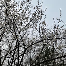 김정경의 프로필 이미지