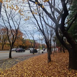 MinorValue의 프로필 이미지