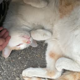김민아의 프로필 이미지