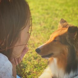 이미솔의 프로필 이미지