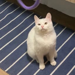 조예나의 프로필 이미지