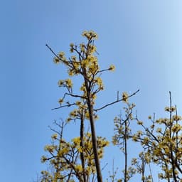 김지언의 프로필 이미지