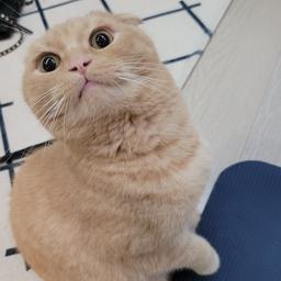 사용자 프로필 1