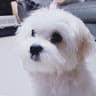 한영호의 프로필 이미지