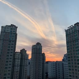 최지희의 프로필 이미지