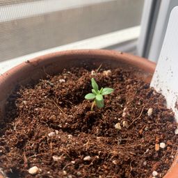 사용자 프로필 1