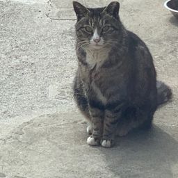 사용자 프로필 1