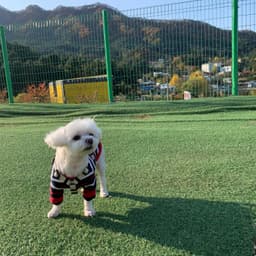 전예린의 프로필 이미지