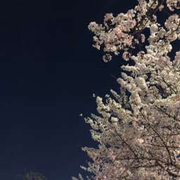 양성원의 프로필 이미지