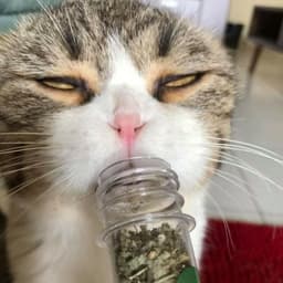이홍민의 프로필 이미지