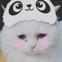알림의 프로필 이미지