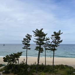 김용곤의 프로필 이미지
