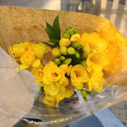 김수진의 프로필 이미지