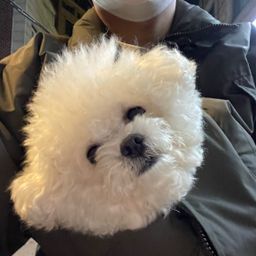 사용자 프로필 1