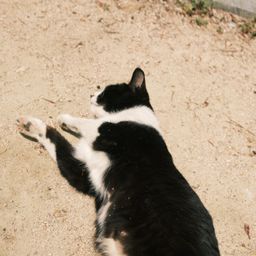 사용자 프로필 1