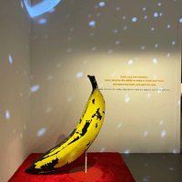 KimSoyeon의 프로필 이미지