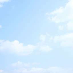 차연주의 프로필 이미지