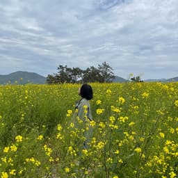 박이슬의 프로필 이미지