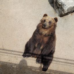 사용자 프로필 1