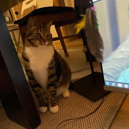심현지의 프로필 이미지