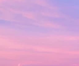 김보우의 프로필 이미지