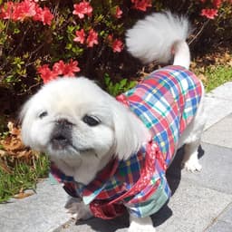 구슬의 프로필 이미지