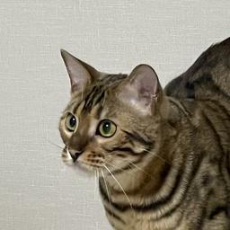 사용자 프로필 1